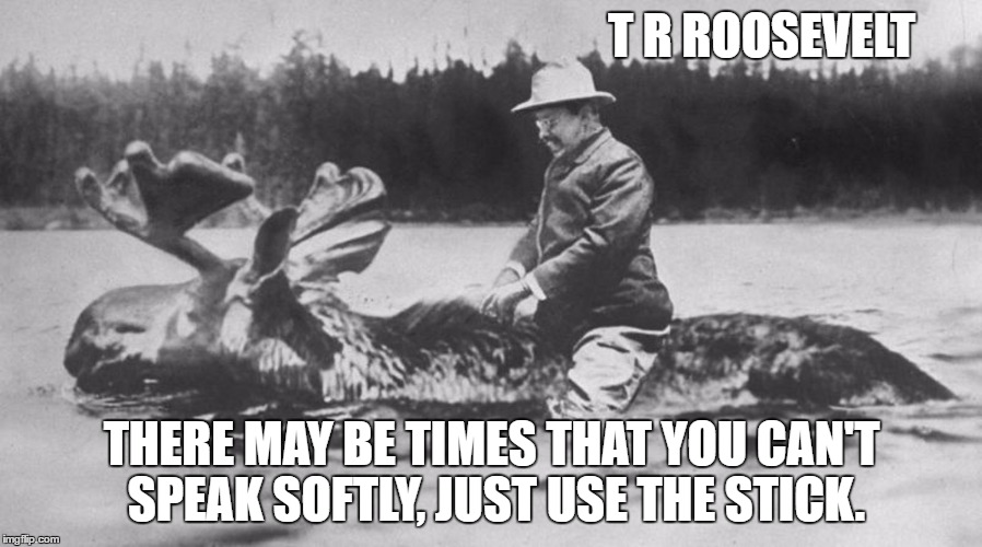 Bull Moose T R Roosevelt | T R ROOSEVELT; THERE MAY BE TIMES THAT YOU CAN'T SPEAK SOFTLY, JUST USE THE STICK. | image tagged in memes,funny,teddy roosevelt | made w/ Imgflip meme maker
