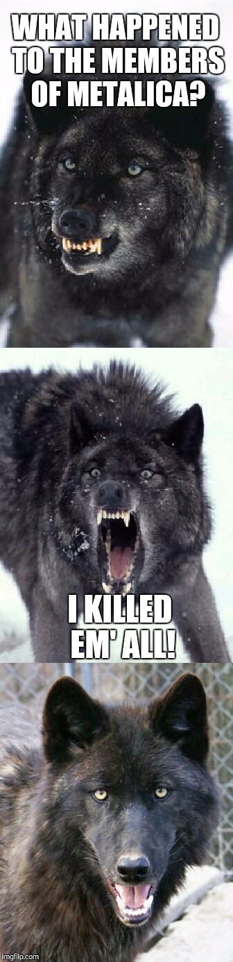 Bad Pun Insanity Wolf | WHAT HAPPENED TO THE MEMBERS OF METALICA? I KILLED EM' ALL! | image tagged in bad pun insanity wolf,memes | made w/ Imgflip meme maker