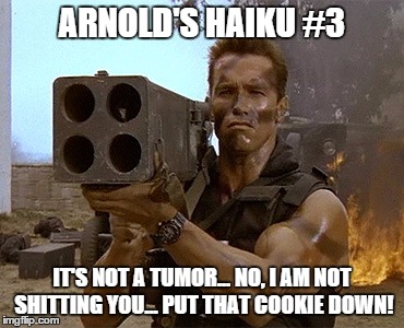 arnold schwarzenegger commando | ARNOLD'S HAIKU #3; IT'S NOT A TUMOR... NO, I AM NOT SHITTING YOU...
PUT THAT COOKIE DOWN! | image tagged in arnold schwarzenegger commando | made w/ Imgflip meme maker