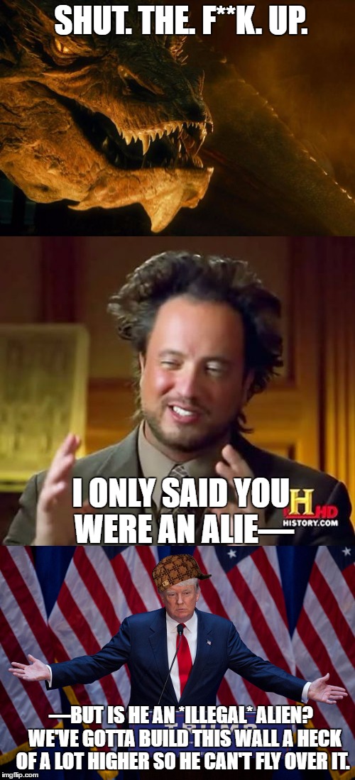 Who said *ANYTHING* has to make sense??? | SHUT. THE. F**K. UP. I ONLY SAID YOU WERE AN ALIE—; —BUT IS HE AN *ILLEGAL* ALIEN?  WE'VE GOTTA BUILD THIS WALL A HECK OF A LOT HIGHER SO HE CAN'T FLY OVER IT. | image tagged in smaug,ancient aliens guy,memes,funny,donald trump | made w/ Imgflip meme maker