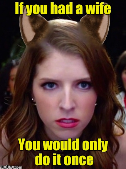 Grumpy Anna | If you had a wife You would only do it once | image tagged in grumpy anna | made w/ Imgflip meme maker