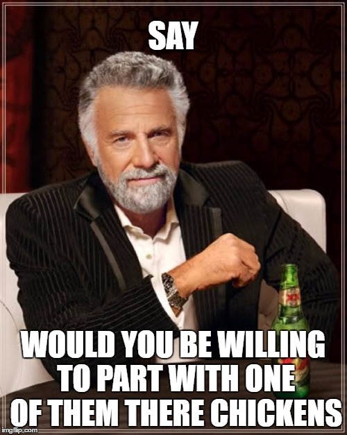 The Most Interesting Man In The World Meme | SAY WOULD YOU BE WILLING TO PART WITH ONE OF THEM THERE CHICKENS | image tagged in memes,the most interesting man in the world | made w/ Imgflip meme maker