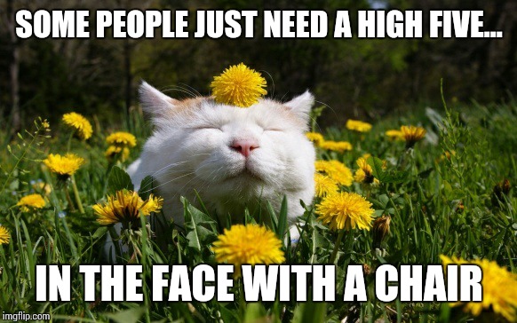 Love & Peace |  SOME PEOPLE JUST NEED A HIGH FIVE... IN THE FACE WITH A CHAIR | image tagged in love  peace | made w/ Imgflip meme maker