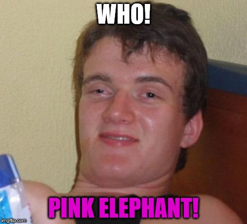 10 Guy | WHO! PINK ELEPHANT! | image tagged in memes,10 guy | made w/ Imgflip meme maker