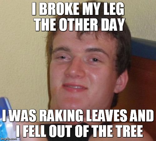 10 Guy Meme | I BROKE MY LEG THE OTHER DAY; I WAS RAKING LEAVES AND I FELL OUT OF THE TREE | image tagged in memes,10 guy | made w/ Imgflip meme maker