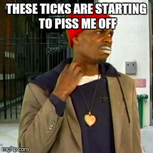 THESE TICKS ARE STARTING TO PISS ME OFF | image tagged in the most interesting man in the world | made w/ Imgflip meme maker