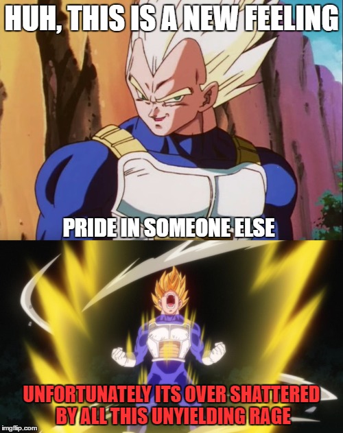 Vegeta's pride | HUH, THIS IS A NEW FEELING; PRIDE IN SOMEONE ELSE; UNFORTUNATELY ITS OVER SHATTERED BY ALL THIS UNYIELDING RAGE | image tagged in tfs,dbz | made w/ Imgflip meme maker