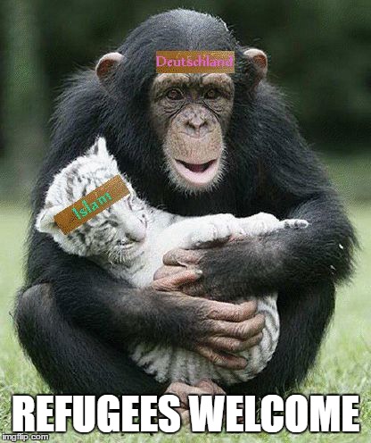  REFUGEES WELCOME | image tagged in dui | made w/ Imgflip meme maker