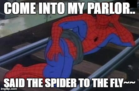 Sexy Railroad Spiderman | COME INTO MY PARLOR.. SAID THE SPIDER TO THE FLY~~ | image tagged in memes,sexy railroad spiderman,spiderman | made w/ Imgflip meme maker