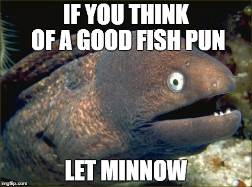 Bad Joke Eel Meme | IF YOU THINK OF A GOOD FISH PUN; LET MINNOW | image tagged in memes,bad joke eel | made w/ Imgflip meme maker