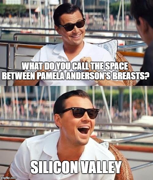 Leonardo Dicaprio Wolf Of Wall Street | WHAT DO YOU CALL THE SPACE BETWEEN PAMELA ANDERSON'S BREASTS? SILICON VALLEY | image tagged in memes,leonardo dicaprio wolf of wall street | made w/ Imgflip meme maker