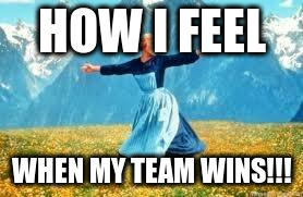 Look At All These Meme | HOW I FEEL; WHEN MY TEAM WINS!!! | image tagged in memes,look at all these | made w/ Imgflip meme maker