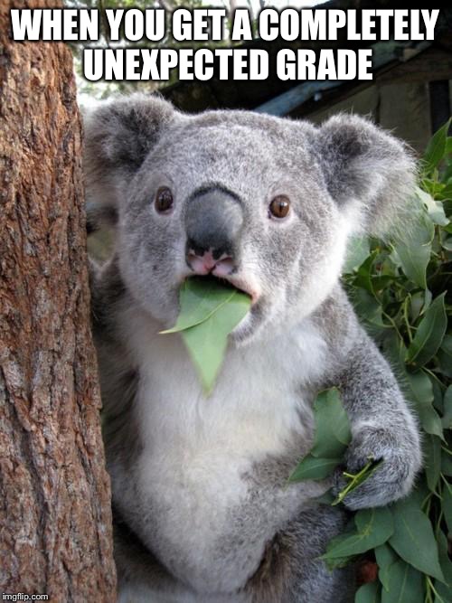 Surprised Koala | WHEN YOU GET A COMPLETELY UNEXPECTED GRADE | image tagged in memes,surprised koala | made w/ Imgflip meme maker