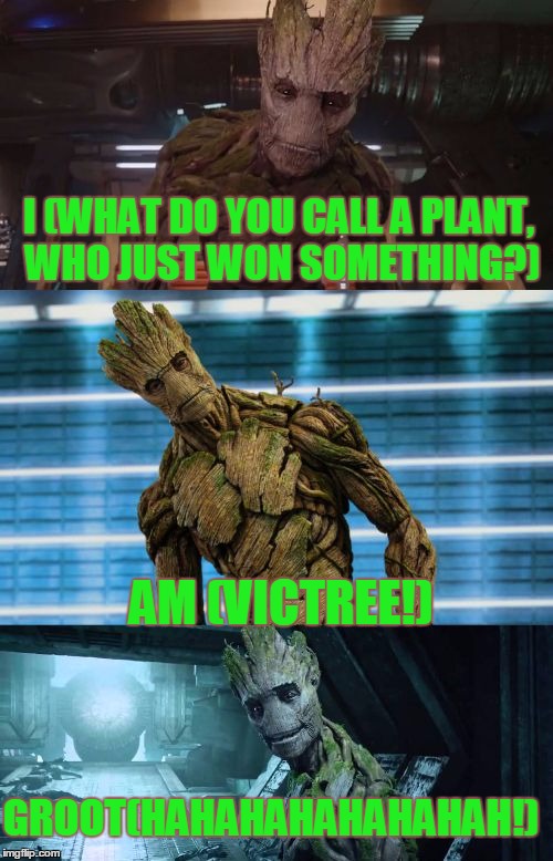 bad pun groot | I (WHAT DO YOU CALL A PLANT, WHO JUST WON SOMETHING?); AM (VICTREE!); GROOT(HAHAHAHAHAHAHAH!) | image tagged in bad pun groot,memes,bad pun,superheroes | made w/ Imgflip meme maker
