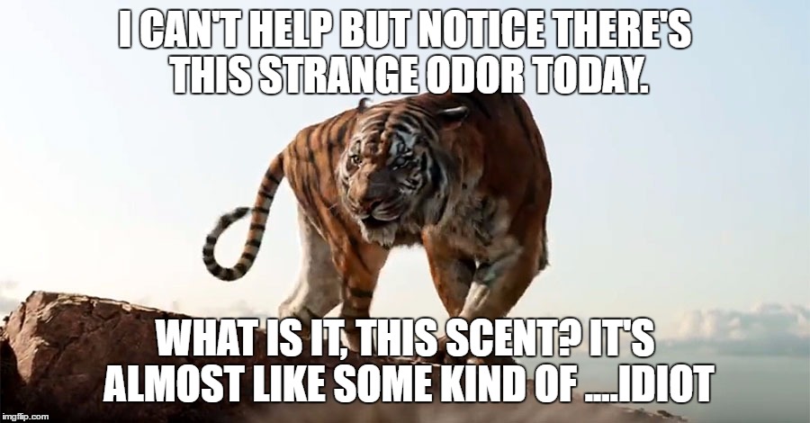 I can't help but notice  | I CAN'T HELP BUT NOTICE THERE'S THIS STRANGE ODOR TODAY. WHAT IS IT, THIS SCENT? IT'S ALMOST LIKE SOME KIND OF ....IDIOT | image tagged in i can't help but notice,jungle book,shere khan,what is it this scent,strange odor | made w/ Imgflip meme maker