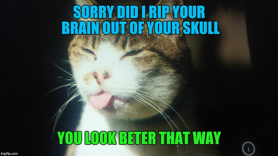 im a catttttttt | SORRY DID I RIP YOUR BRAIN OUT OF YOUR SKULL; YOU LOOK BETER THAT WAY | image tagged in im a catttttttt | made w/ Imgflip meme maker