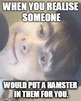 When you realise.. | WHEN YOU REALISE SOMEONE; WOULD PUT A HAMSTER IN THEM FOR YOU. | image tagged in realisation,leafy,whitney,wisconsin,hamster,beastiality | made w/ Imgflip meme maker