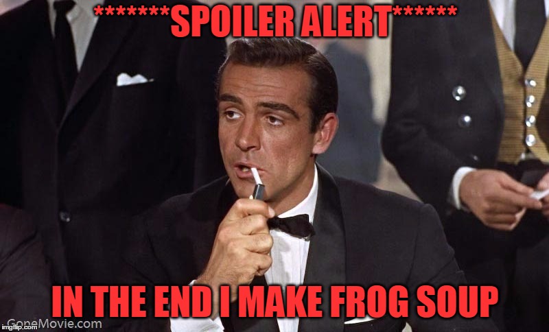 Sean Connery | *******SPOILER ALERT****** IN THE END I MAKE FROG SOUP | image tagged in sean connery | made w/ Imgflip meme maker