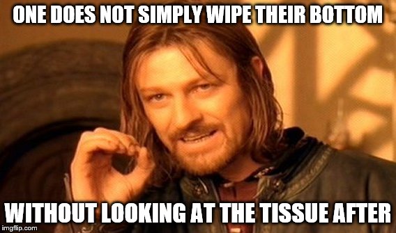 One Does Not Simply | ONE DOES NOT SIMPLY WIPE THEIR BOTTOM; WITHOUT LOOKING AT THE TISSUE AFTER | image tagged in memes,one does not simply | made w/ Imgflip meme maker
