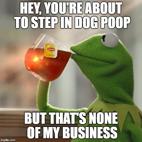 But That's None Of My Business Meme |  HEY, YOU'RE ABOUT TO STEP IN DOG POOP; BUT THAT'S NONE OF MY BUSINESS | image tagged in memes,but thats none of my business,kermit the frog | made w/ Imgflip meme maker