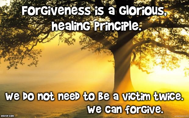 nature | Forgiveness is a glorious, healing principle. We do not need to be a victim twice.                
We can forgive. | image tagged in nature | made w/ Imgflip meme maker