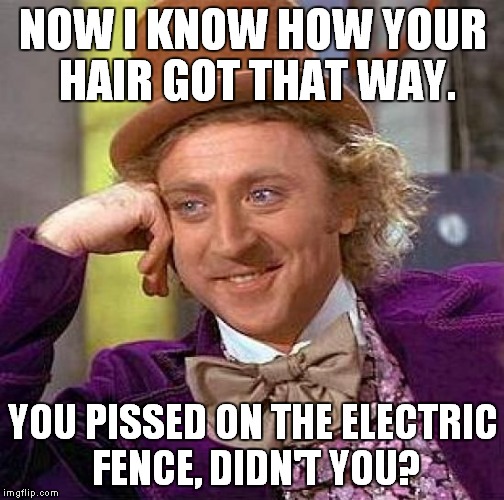 Creepy Condescending Wonka Meme | NOW I KNOW HOW YOUR HAIR GOT THAT WAY. YOU PISSED ON THE ELECTRIC FENCE, DIDN'T YOU? | image tagged in memes,creepy condescending wonka | made w/ Imgflip meme maker