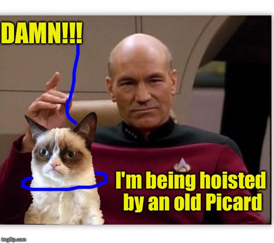 First bad pun dog, then bad pun Anna Kendrick, now visual pun grumpy cat.  | DAMN!!! I'm being hoisted by an old Picard | image tagged in grumpy cat,captain picard,memes | made w/ Imgflip meme maker