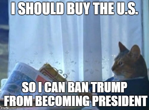 I Should Buy A Boat Cat Meme | I SHOULD BUY THE U.S. SO I CAN BAN TRUMP FROM BECOMING PRESIDENT | image tagged in memes,i should buy a boat cat | made w/ Imgflip meme maker