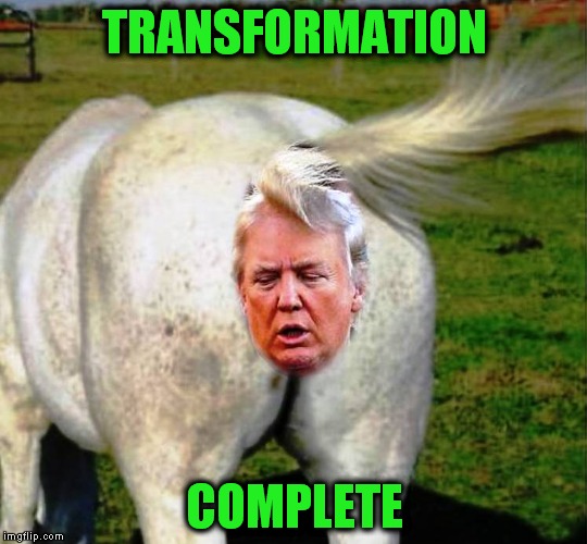 Ch Ch Ch Ch Changes | TRANSFORMATION; COMPLETE | image tagged in memes,donald trump,flip flop,presidential | made w/ Imgflip meme maker