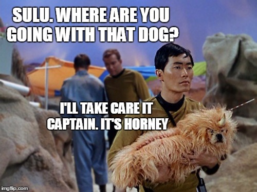 Going where none have gone before | SULU. WHERE ARE YOU GOING WITH THAT DOG? I'LL TAKE CARE IT CAPTAIN. IT'S HORNEY | image tagged in star trek,meme,sci-fi | made w/ Imgflip meme maker