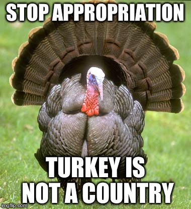 Turkey Meme | STOP APPROPRIATION; TURKEY IS NOT A COUNTRY | image tagged in memes,turkey | made w/ Imgflip meme maker