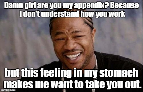 One of the best pick up lines that I've heard. | Damn girl are you my appendix? Because I don't understand how you work; but this feeling in my stomach makes me want to take you out. | image tagged in memes,yo dawg heard you | made w/ Imgflip meme maker