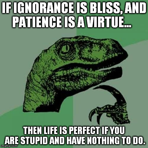 Philosoraptor | IF IGNORANCE IS BLISS, AND PATIENCE IS A VIRTUE... THEN LIFE IS PERFECT IF YOU ARE STUPID AND HAVE NOTHING TO DO. | image tagged in memes,philosoraptor | made w/ Imgflip meme maker