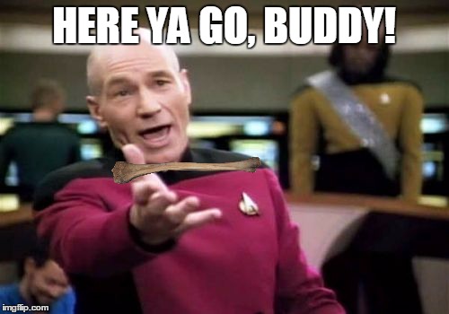 Picard Wtf Meme | HERE YA GO, BUDDY! | image tagged in memes,picard wtf | made w/ Imgflip meme maker