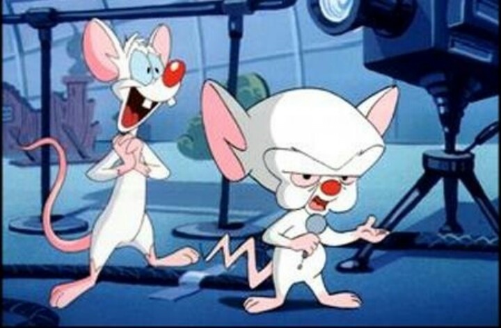 High Quality Pinky y Cerebro Blank Meme Template