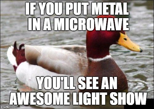 Malicious Advice Mallard | IF YOU PUT METAL IN A MICROWAVE; YOU'LL SEE AN AWESOME LIGHT SHOW | image tagged in memes,malicious advice mallard | made w/ Imgflip meme maker