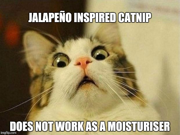 Scared Cat | JALAPEÑO INSPIRED CATNIP; DOES NOT WORK AS A MOISTURISER | image tagged in memes,scared cat | made w/ Imgflip meme maker