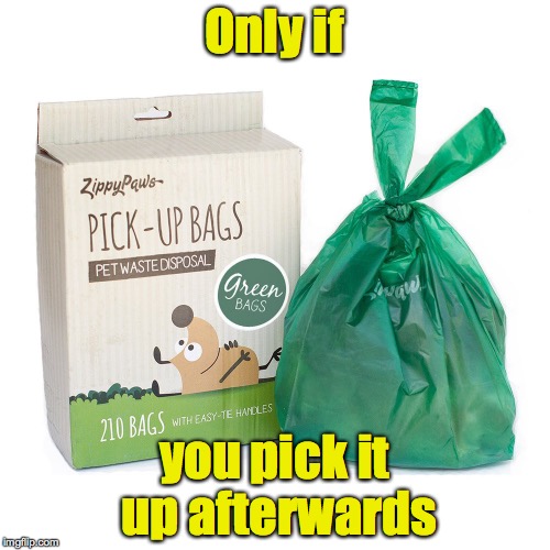 Only if you pick it up afterwards | made w/ Imgflip meme maker