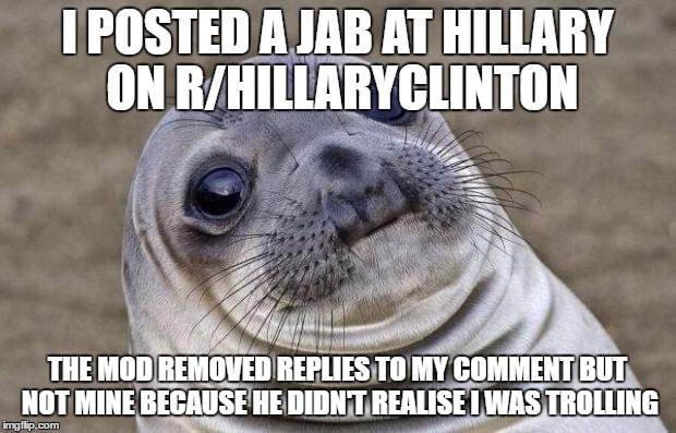 Awkward Moment Sealion Meme | I POSTED A JAB AT HILLARY ON R/HILLARYCLINTON; THE MOD REMOVED REPLIES TO MY COMMENT BUT NOT MINE BECAUSE HE DIDN'T REALISE I WAS TROLLING | image tagged in memes,awkward moment sealion | made w/ Imgflip meme maker