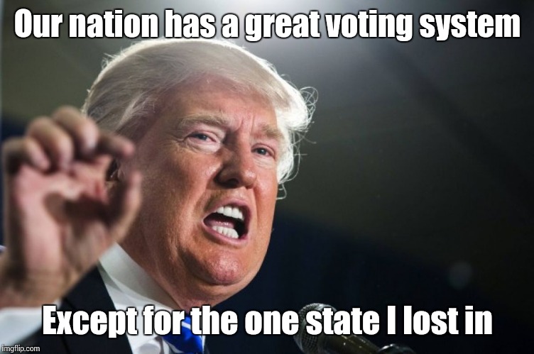 Just because you lost a single state doesn't mean anything is rigged | Our nation has a great voting system; Except for the one state I lost in | image tagged in donald trump,colorado,voting,shut up and stop whining,trhtimmy | made w/ Imgflip meme maker