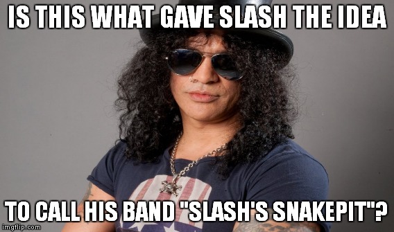IS THIS WHAT GAVE SLASH THE IDEA TO CALL HIS BAND "SLASH'S SNAKEPIT"? | made w/ Imgflip meme maker