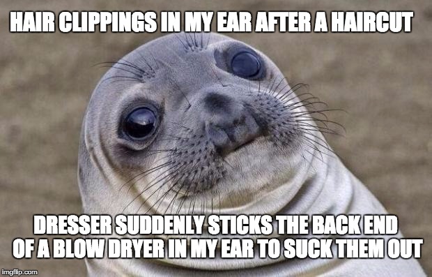 Awkward Moment Sealion | HAIR CLIPPINGS IN MY EAR AFTER A HAIRCUT; DRESSER SUDDENLY STICKS THE BACK END OF A BLOW DRYER IN MY EAR TO SUCK THEM OUT | image tagged in memes,awkward moment sealion,AdviceAnimals | made w/ Imgflip meme maker