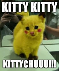 KITTY KITTY; KITTYCHUUU!!! | image tagged in kittychu | made w/ Imgflip meme maker