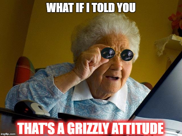 WHAT IF I TOLD YOU THAT'S A GRIZZLY ATTITUDE | made w/ Imgflip meme maker