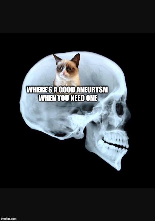 WHERE'S A GOOD ANEURYSM WHEN YOU NEED ONE | made w/ Imgflip meme maker