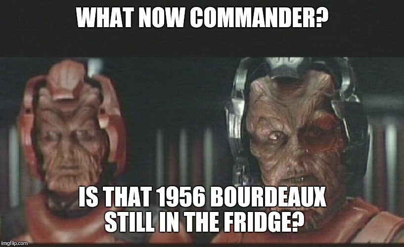 The Last Starfighter | WHAT NOW COMMANDER? IS THAT 1956 BOURDEAUX STILL IN THE FRIDGE? | image tagged in sci-fi | made w/ Imgflip meme maker
