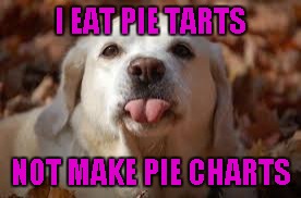 Dog Sticking Tongue Out | I EAT PIE TARTS NOT MAKE PIE CHARTS | image tagged in dog sticking tongue out | made w/ Imgflip meme maker