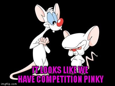 IT LOOKS LIKE WE HAVE COMPETITION PINKY | made w/ Imgflip meme maker