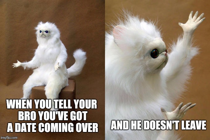 Persian Cat Room Guardian | WHEN YOU TELL YOUR BRO YOU'VE GOT A DATE COMING OVER; AND HE DOESN'T LEAVE | image tagged in persian cat room guardian | made w/ Imgflip meme maker