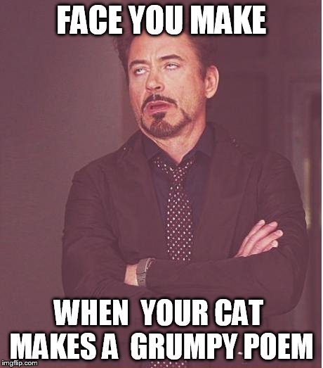 Face You Make Robert Downey Jr Meme | FACE YOU MAKE WHEN  YOUR CAT  MAKES A  GRUMPY POEM | image tagged in memes,face you make robert downey jr | made w/ Imgflip meme maker